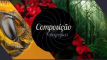 Composição Fotográfica – Dicas e regras