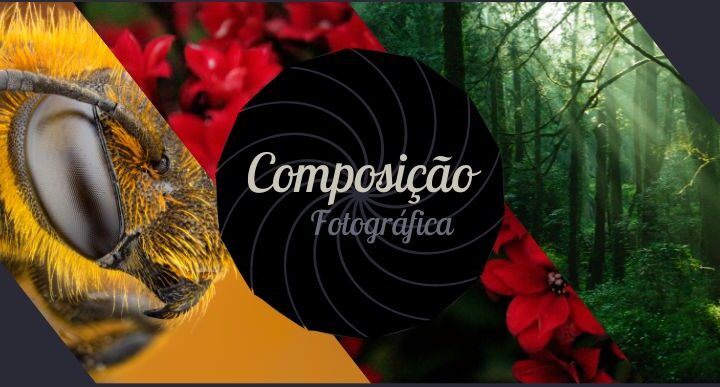 Composição Fotográfica – Dicas e regras